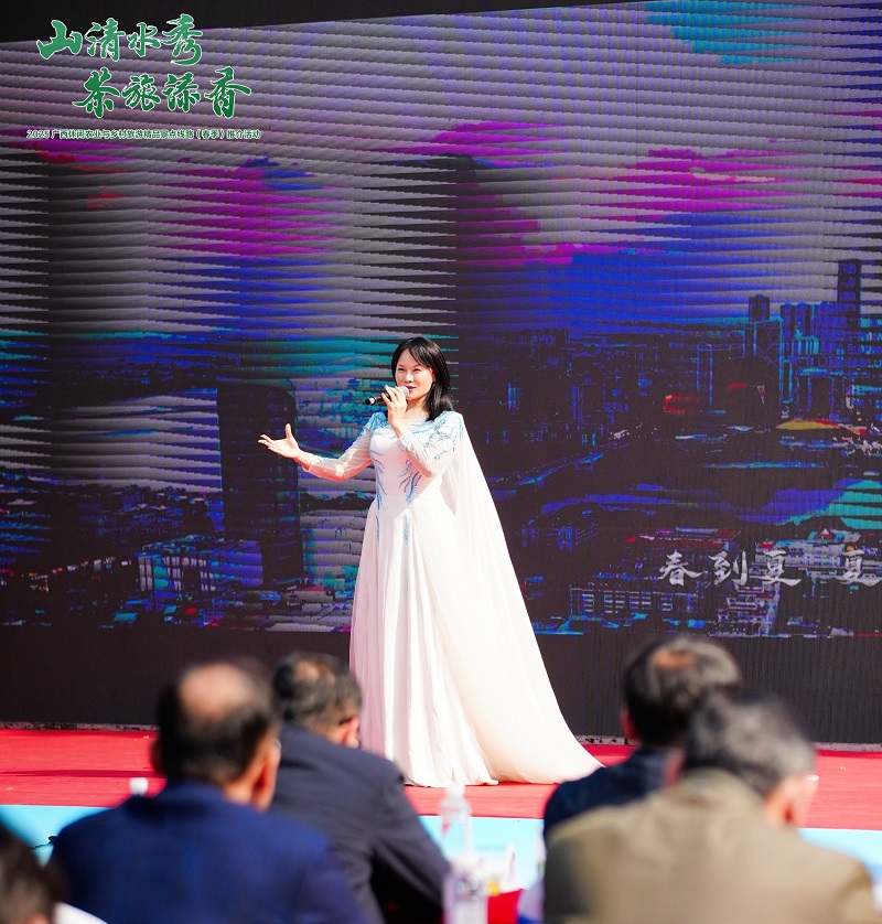 歌手莫彩虹演唱歌曲《城中城 柳州柳》.jpg