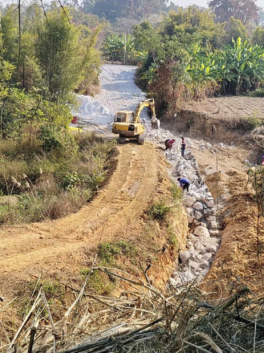 微信图片_20250311165534 - 副本_proc.jpg